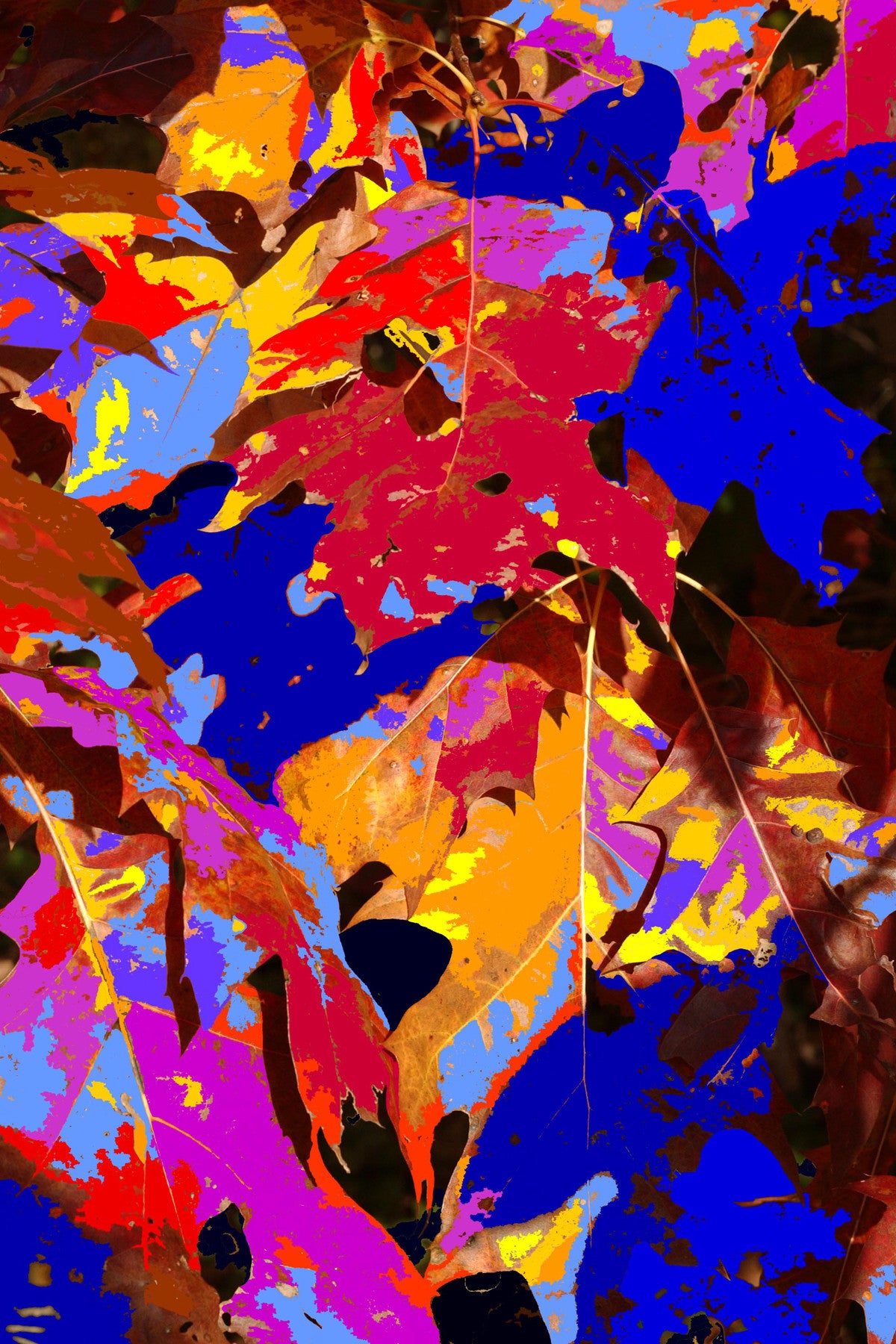 Leaves 110505