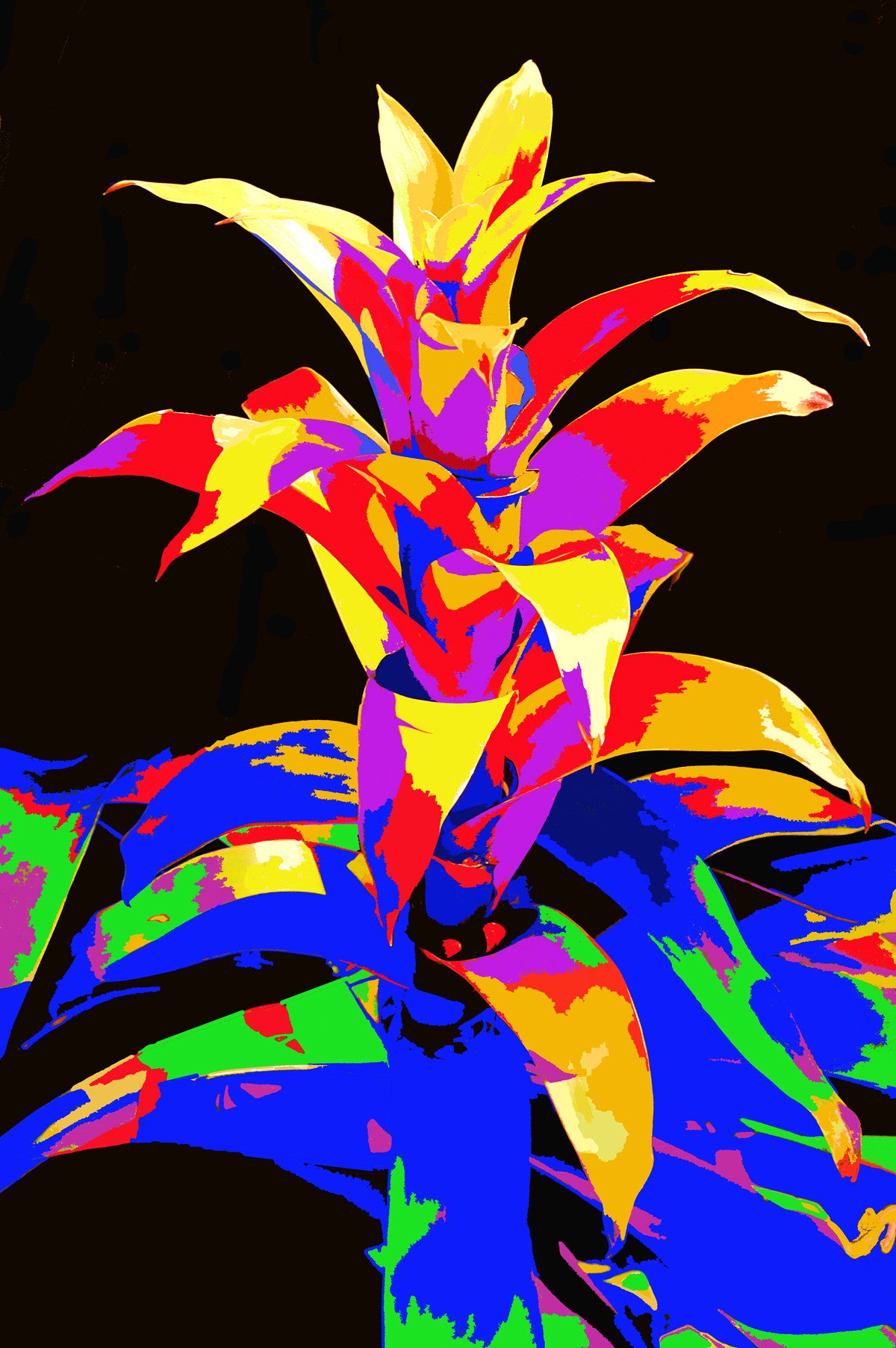 Botanical Gardens #417A