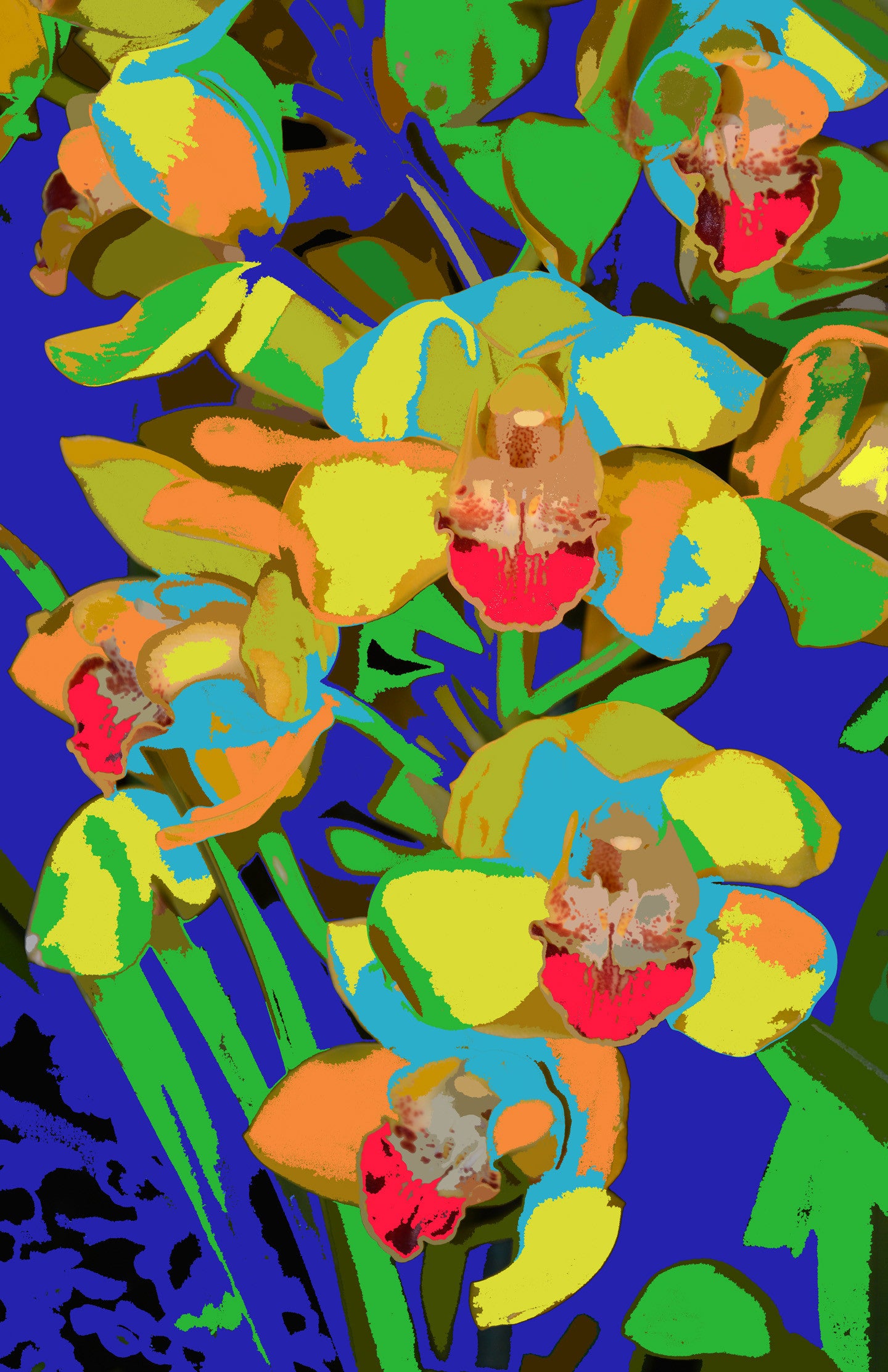 Orchids 683