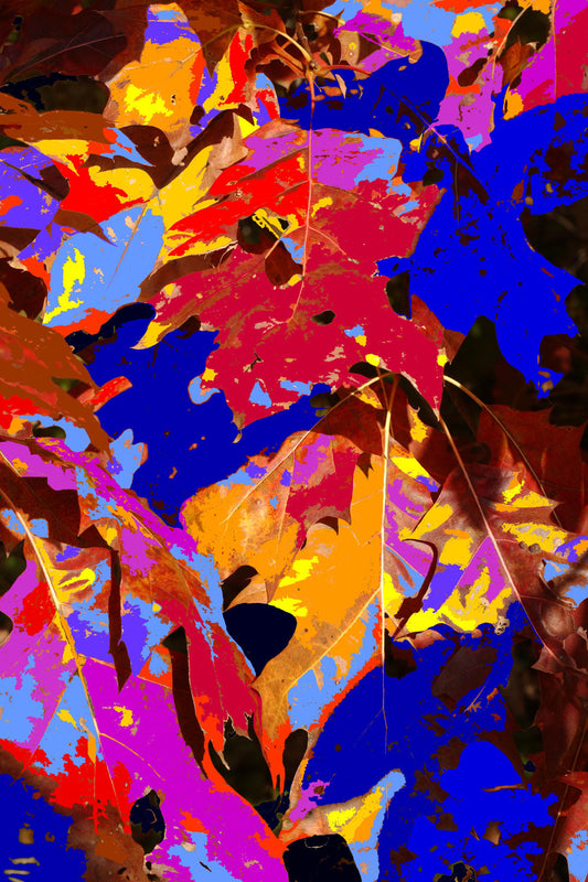 Leaves 110505