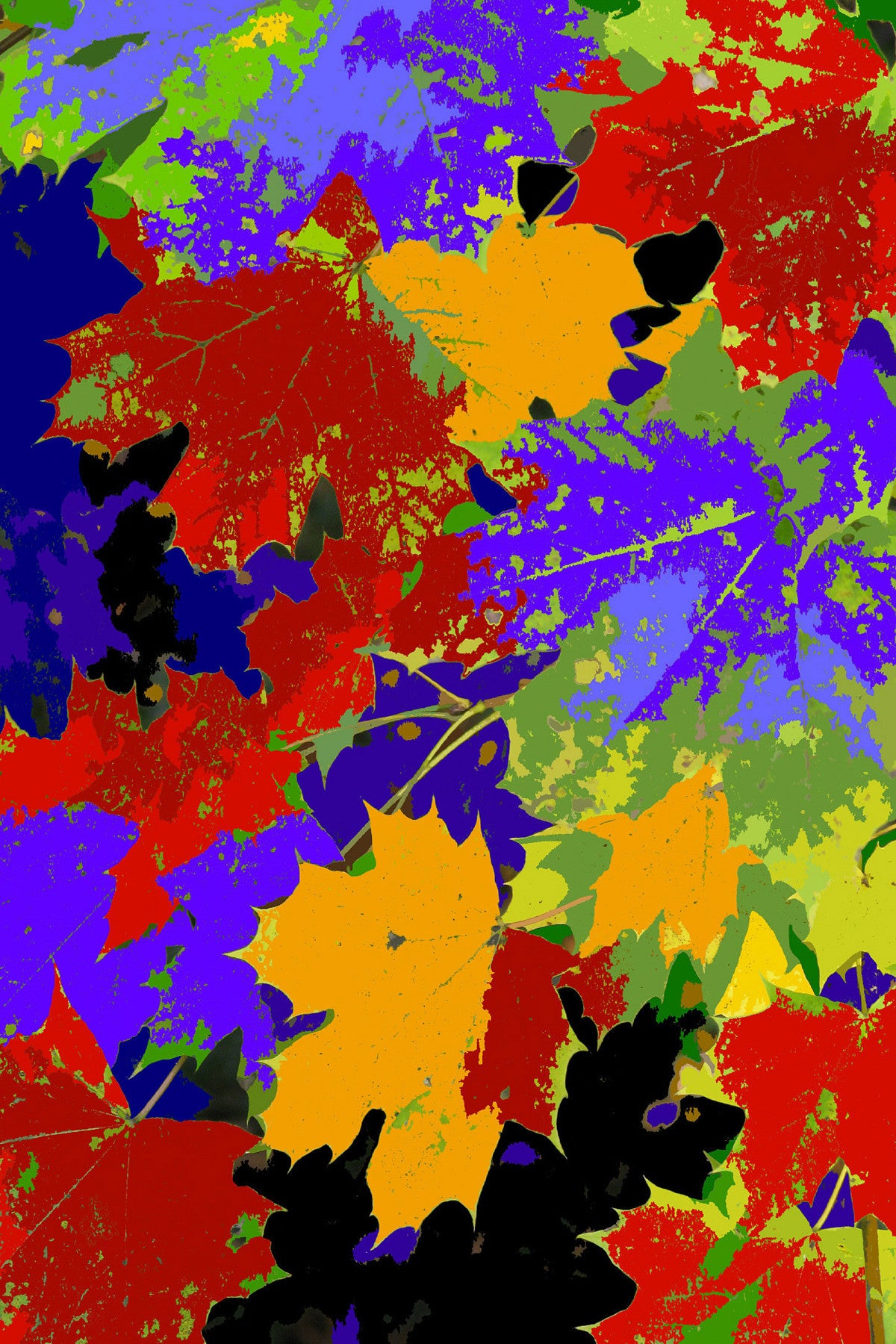 Leaves #17